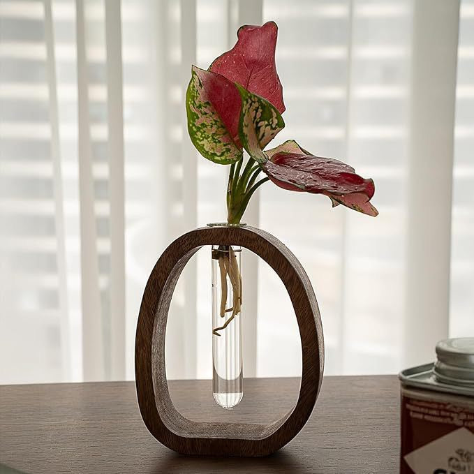 HaloBloom Walnut Propagation Vase | Modern Bud Vase